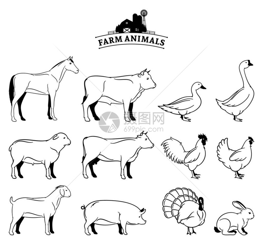 农场动物收藏许多农场动物被白色隔图片