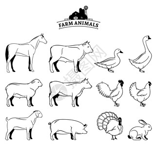 被吓到羊农场动物收藏许多农场动物被白色隔插画