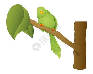 绿惊讶的鹦鹉坐在树枝矢量图上图片
