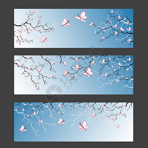 樱花分支横幅矢量图图片