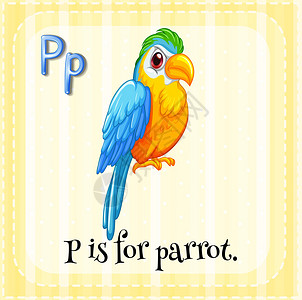 字母P的插图是鹦鹉的图片