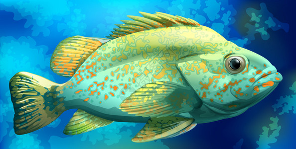 鳍状肢海底的一条鱼插画