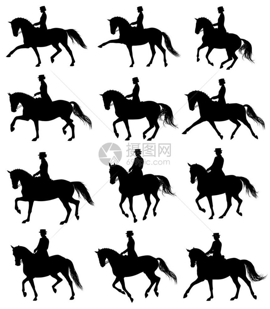 12个马轮骑马的图片