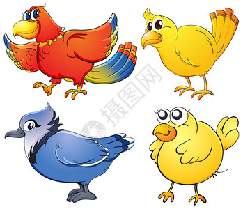 四种鸟类的插图图片