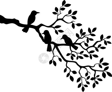 卡通树枝与鸟剪影的矢量图解图片