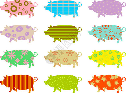 一套彩色的猪环形图纸图片
