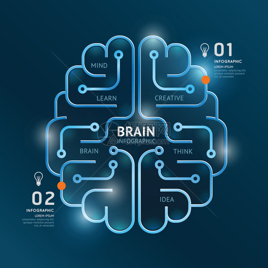 信息图表矢量大脑设计图横幅线条样式模板可用于信息图表横幅技术图片