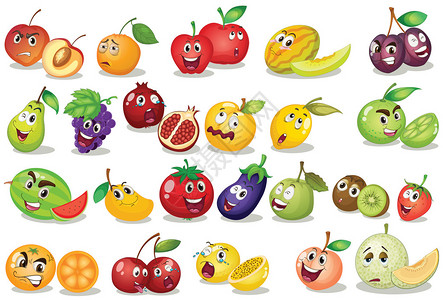 不同种类的水果插图图片