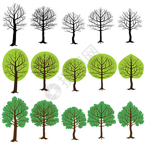 国五防不立由五棵树组成分为三种不同的树种不插画