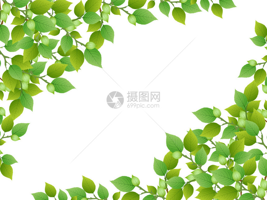 叶鲜绿背景图片