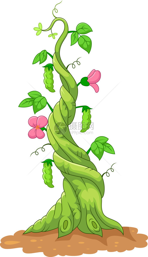 卡通豆茎的矢量图解图片