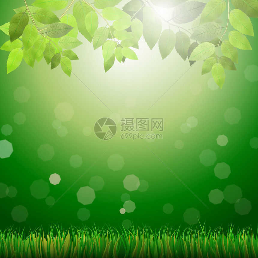 绿色背景包括草叶bokeh和阳光图片