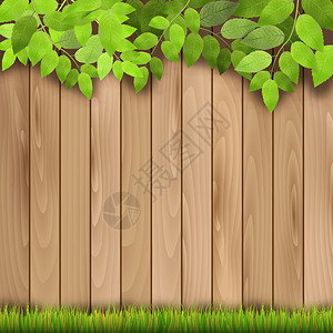 木林围栏草和枝背景图片