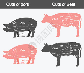 雕刻师牛肉和猪肉切块的矢量图解插画