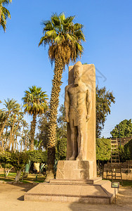 埃及孟菲斯博物馆Ramesses图片