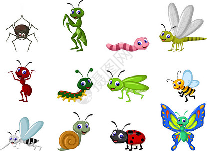 昆虫可爱集合的矢量图解图片