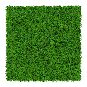 方形绿草横幅矢量图图片