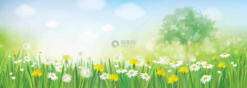 矢量自然春天风景图片