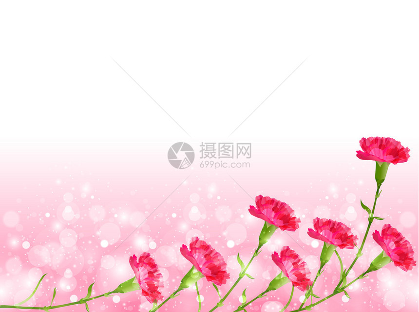 康乃馨母亲节背景图片