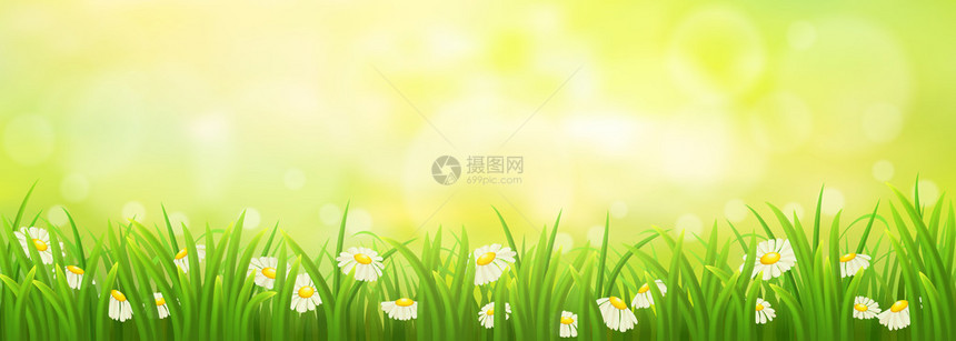 春夏阳光明媚的草地有图片