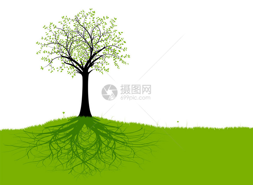 带根的矢量树和绿草有树枝绿图片