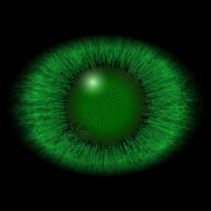 与条纹的虹膜和绿色视网膜的暗色椭圆图片