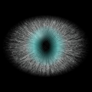 孤立的兽眼大眼睛有条纹虹膜和深色椭圆形瞳孔图片