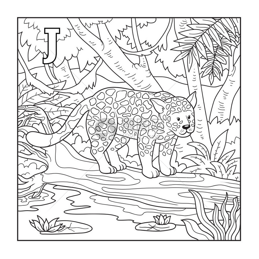 彩色本jaguar无色插图片