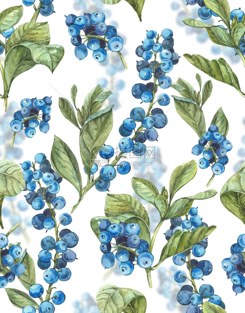 水彩无缝背景与蓝色浆果和叶子水彩无缝背景与蓝图片