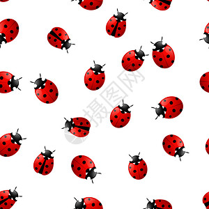 与红色瓢虫的无缝模式背景图片
