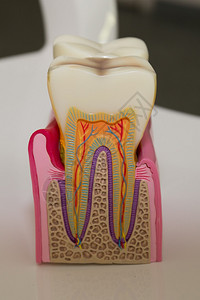 在牙医室看牙时图片