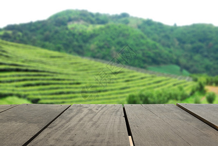 在模糊的美丽茶叶花粉和地貌山丘上透视木柴图片