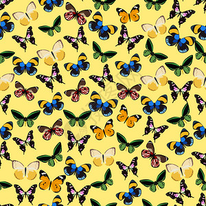 由不同的蝴蝶以平坦的简单设计矢量制成的背景图片