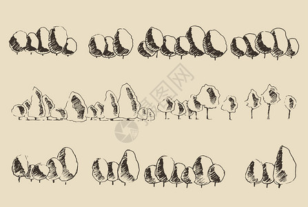 树木草图陈年插图雕刻的复古风图片