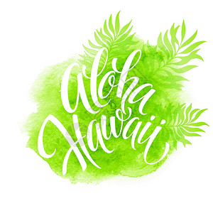 Aloha夏威夷插图棕榈叶水彩色背景图片