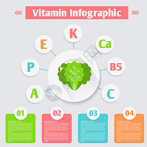 沙拉中维生素和矿物质的信息图表健康生活和健康饮食的图片