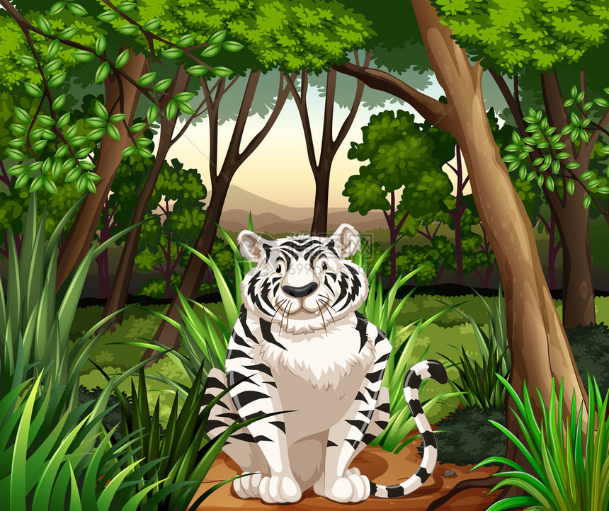白老虎坐在丛林图片