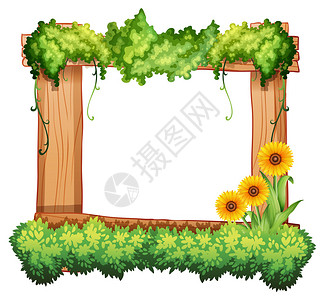 用植物和向日葵装饰的木框图片