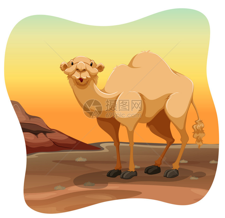 骆驼站在沙漠中间图片