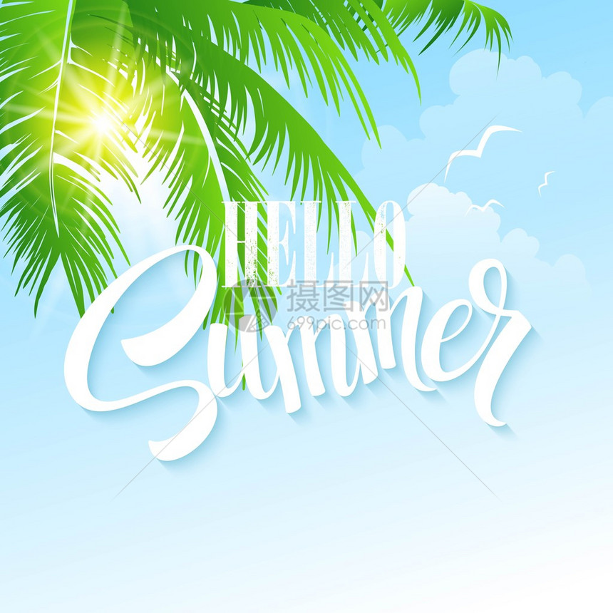 夏季假日病媒背景棕榈叶和海的图片