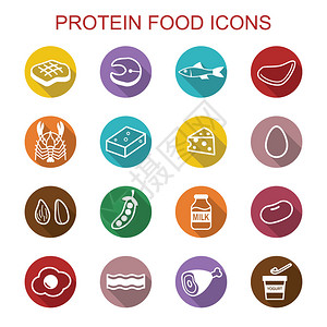 蛋白质食物长阴影图标图片