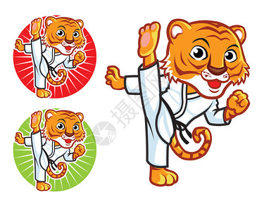 Taekwondo或空手道虎卡通Masco图片