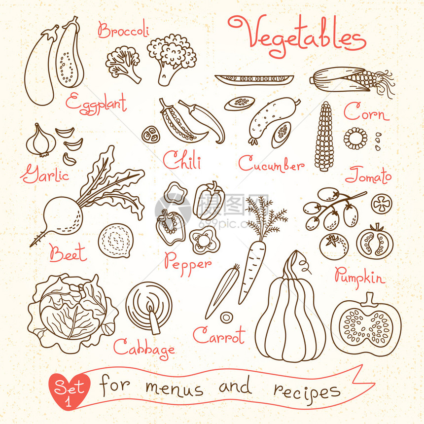 为设计菜单食谱和包装产品设置蔬菜图纸Victo图片
