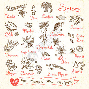 科伦峰为设计菜单食谱和包装产品设置调味品图纸插画