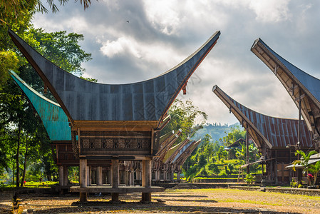 南堤公园在印度尼西亚南苏拉威西岛的一个典型的传统村庄TanaToraja中插画