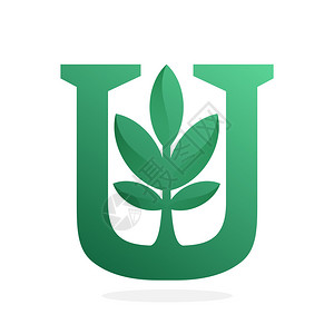 U字母绿色徽标图图片