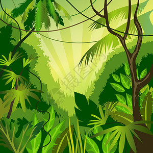 热带自然景观植物和阳图片