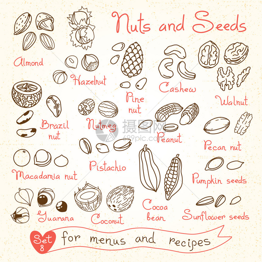 为设计菜单食谱和包装产品设置坚果和种子图纸图片