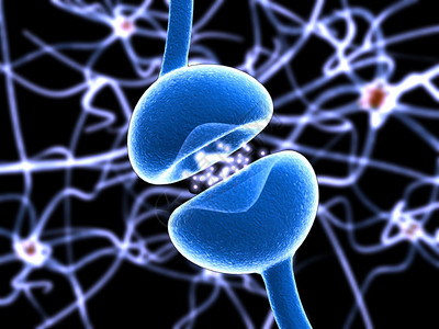典型的人类神经元轴突触树突线粒体髓鞘Ranvier设计图片