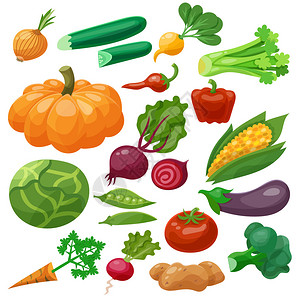 蔬菜图标配有花椰菜玉米卷心菜卷心菜萝卜图片